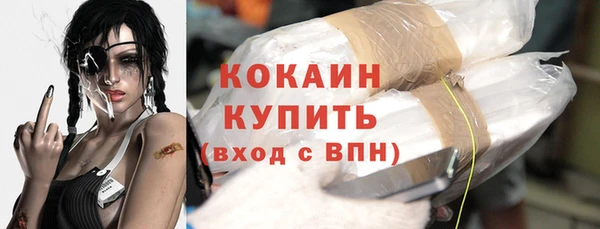 индика Белоозёрский