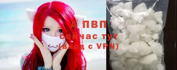 стаф Баксан