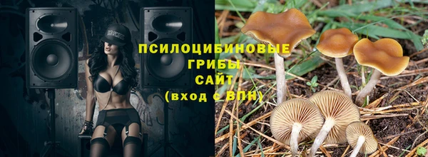 прущие крисы Балабаново