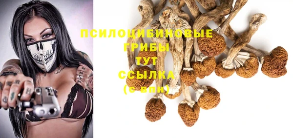 стаф Баксан