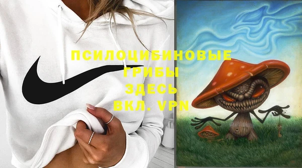 стаф Баксан