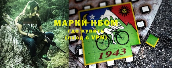индика Белоозёрский