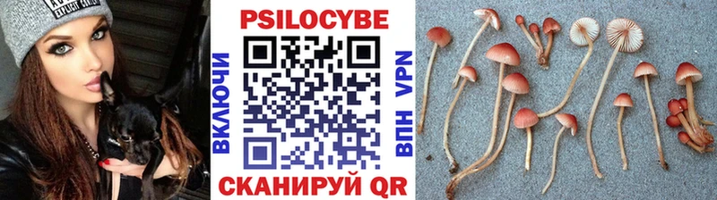 Галлюциногенные грибы MAGIC MUSHROOMS  Салаир 